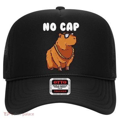 No Cap Funny Capybara Ok I Pull Up Dank Meme Hat