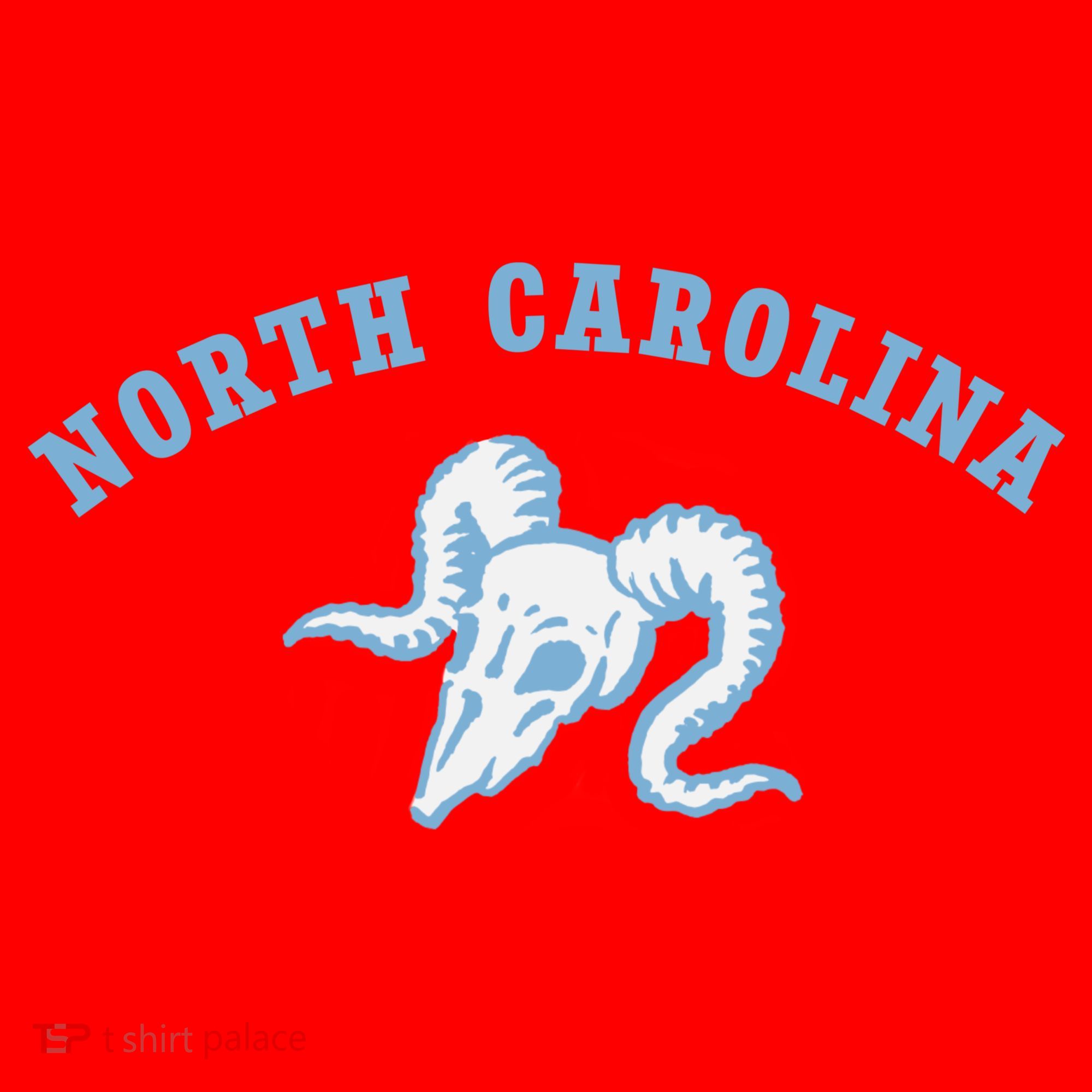 North Carolina Santa Hat