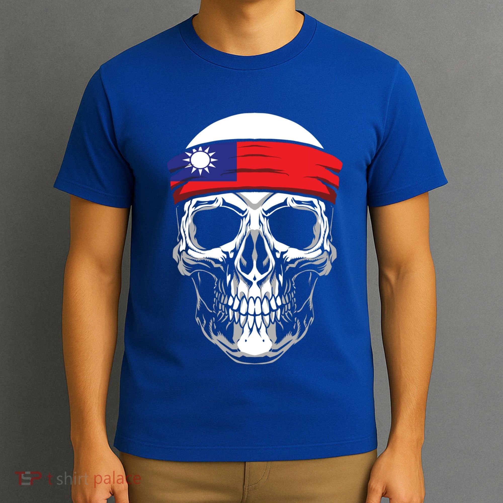 Nationality Country Origin Meaningful Gift Skull Flag Taiwan Funny Gift T-Shirt