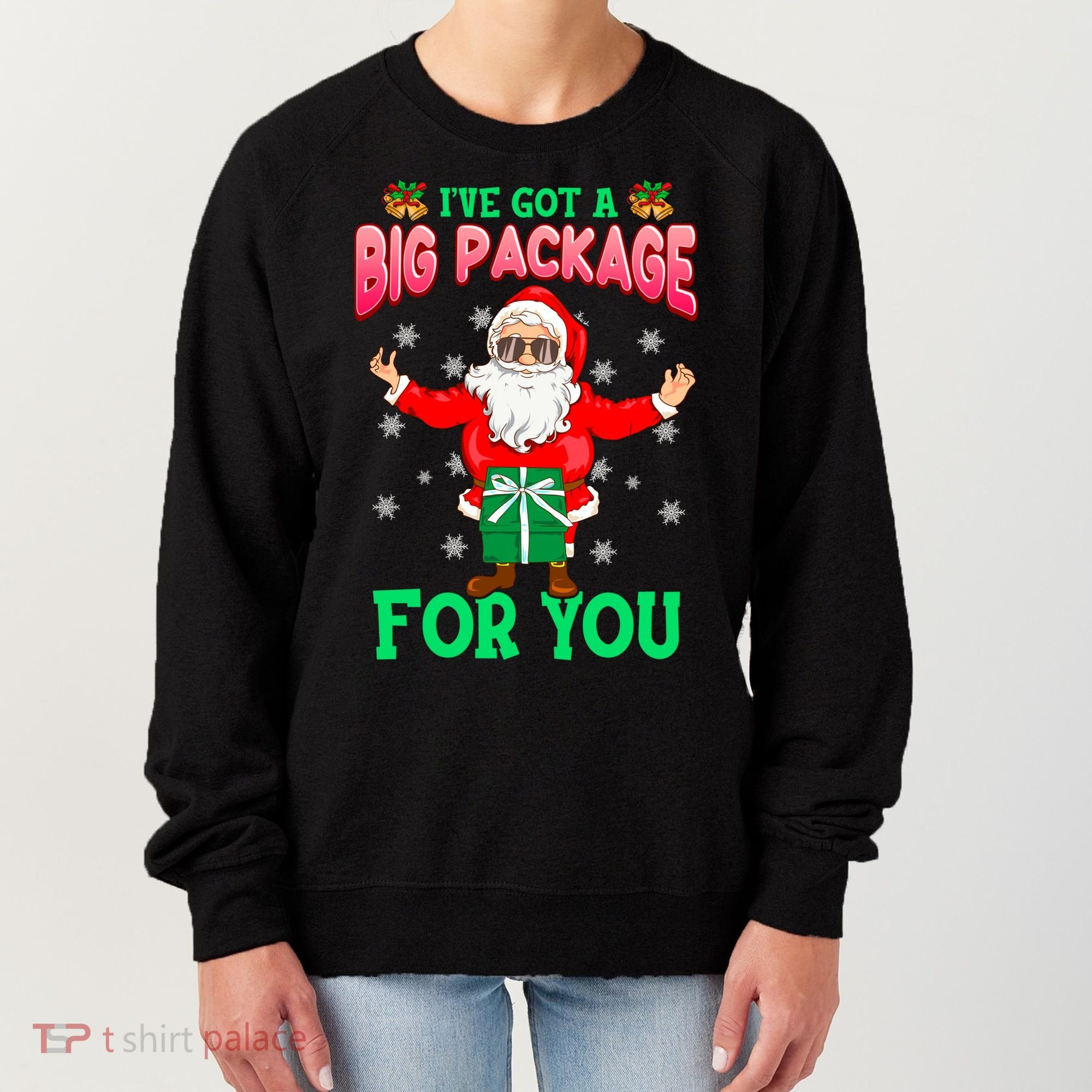 Naughty Christmas Santa Ive Got A Big Package For You Cool Gift Women's Sweatshirt