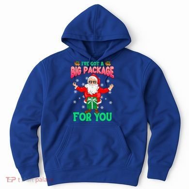 Naughty Christmas Santa Ive Got A Big Package For You Cool Gift Hoodie