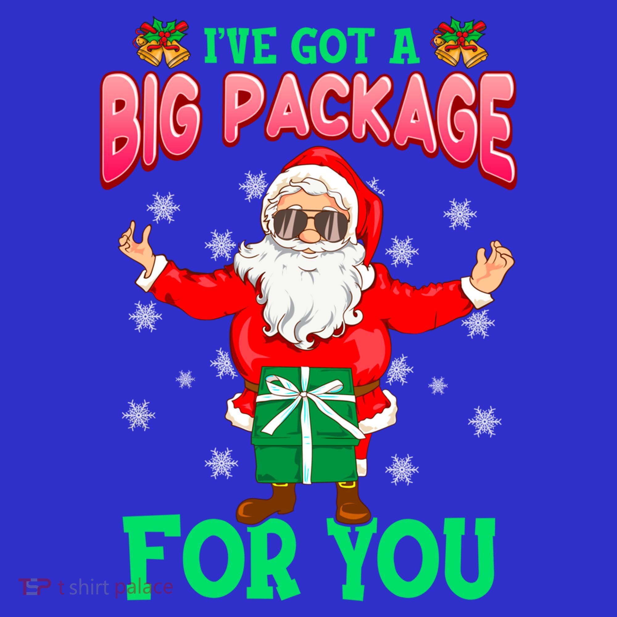 Naughty Christmas Santa Ive Got A Big Package For You Cool Gift Women's Tank Top