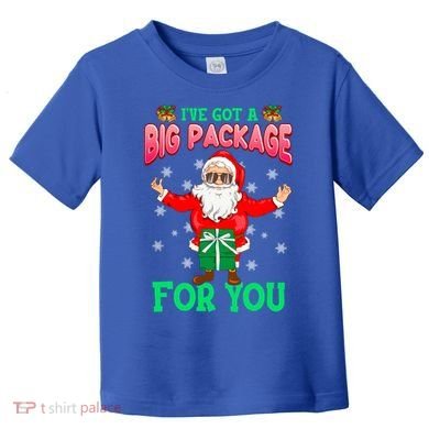 Naughty Christmas Santa Ive Got A Big Package For You Cool Gift Toddler T-Shirt