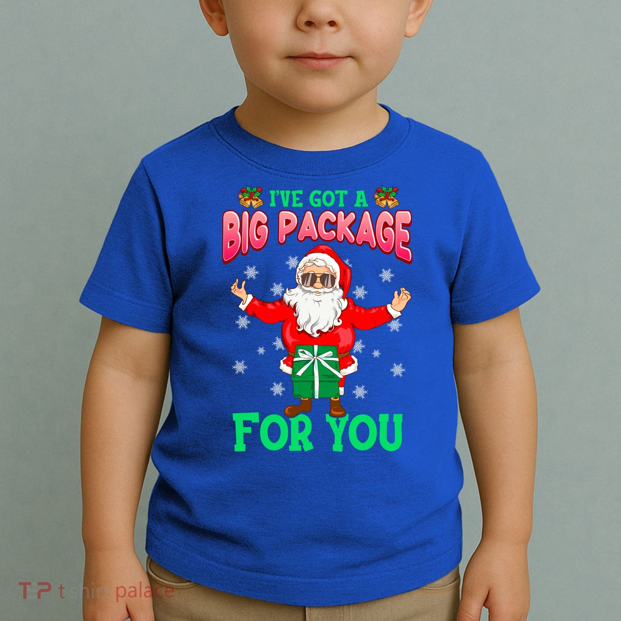 Naughty Christmas Santa Ive Got A Big Package For You Cool Gift Toddler T-Shirt