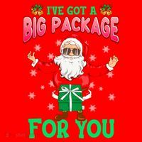 Naughty Christmas Santa Ive Got A Big Package For You Cool Gift Santa Hat thumb 1