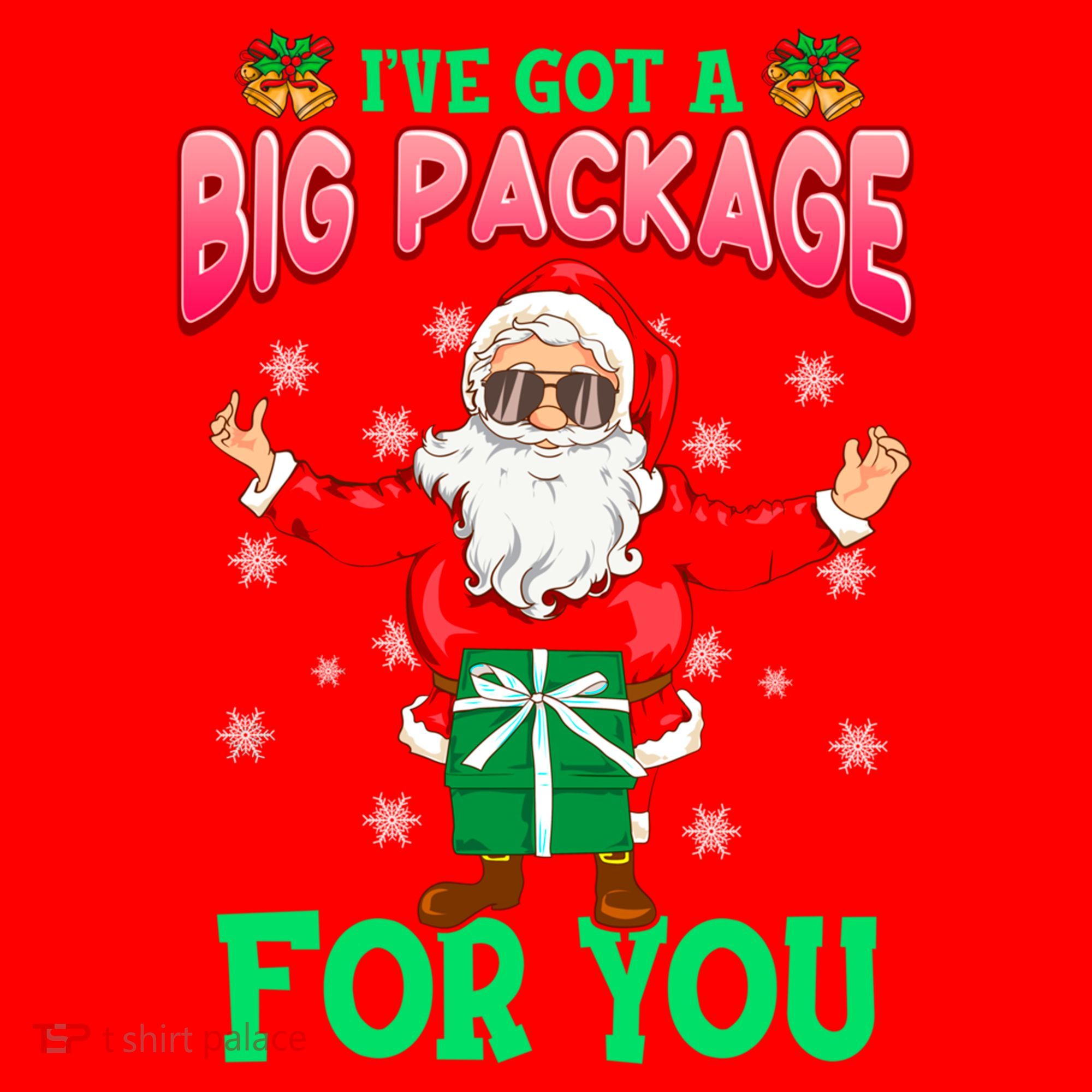 Naughty Christmas Santa Ive Got A Big Package For You Cool Gift Santa Hat
