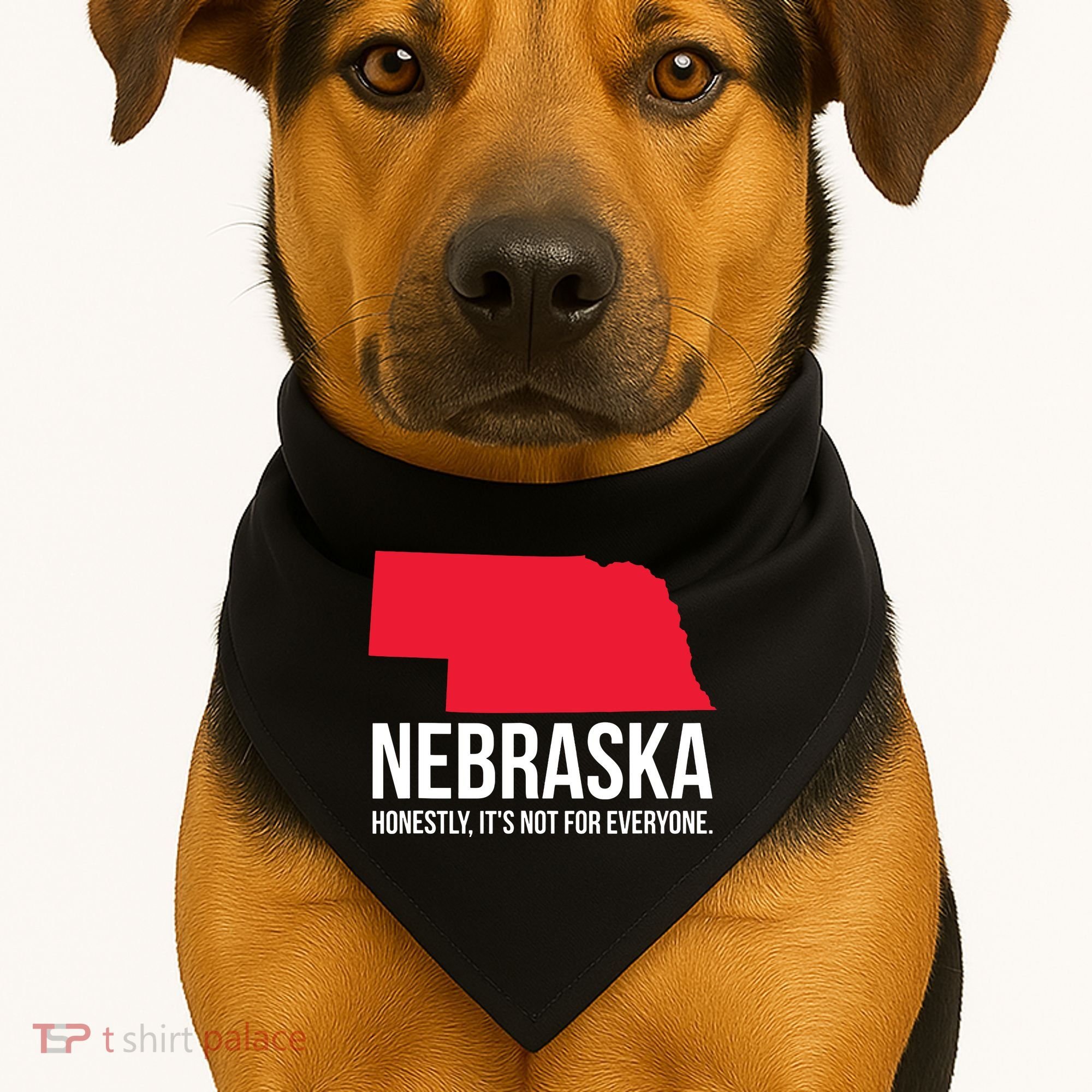 Native Cornhusker State Funny I Love Nebraska USA-Made Doggie Bandana