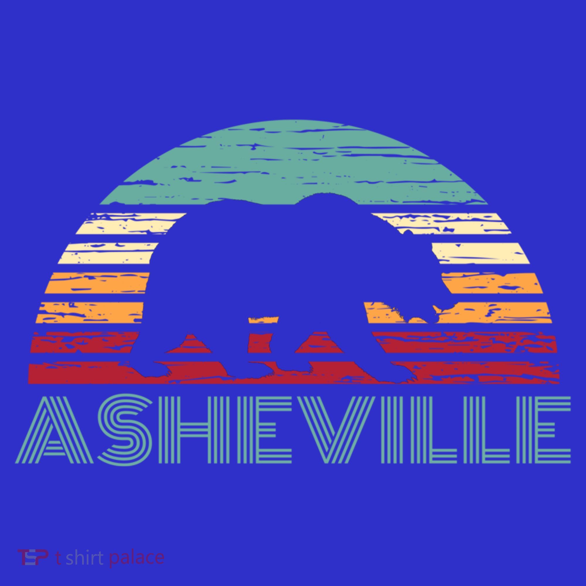 North Carolina Wildlife Retro Asheville Nc Avl Bear Gift T-Shirt