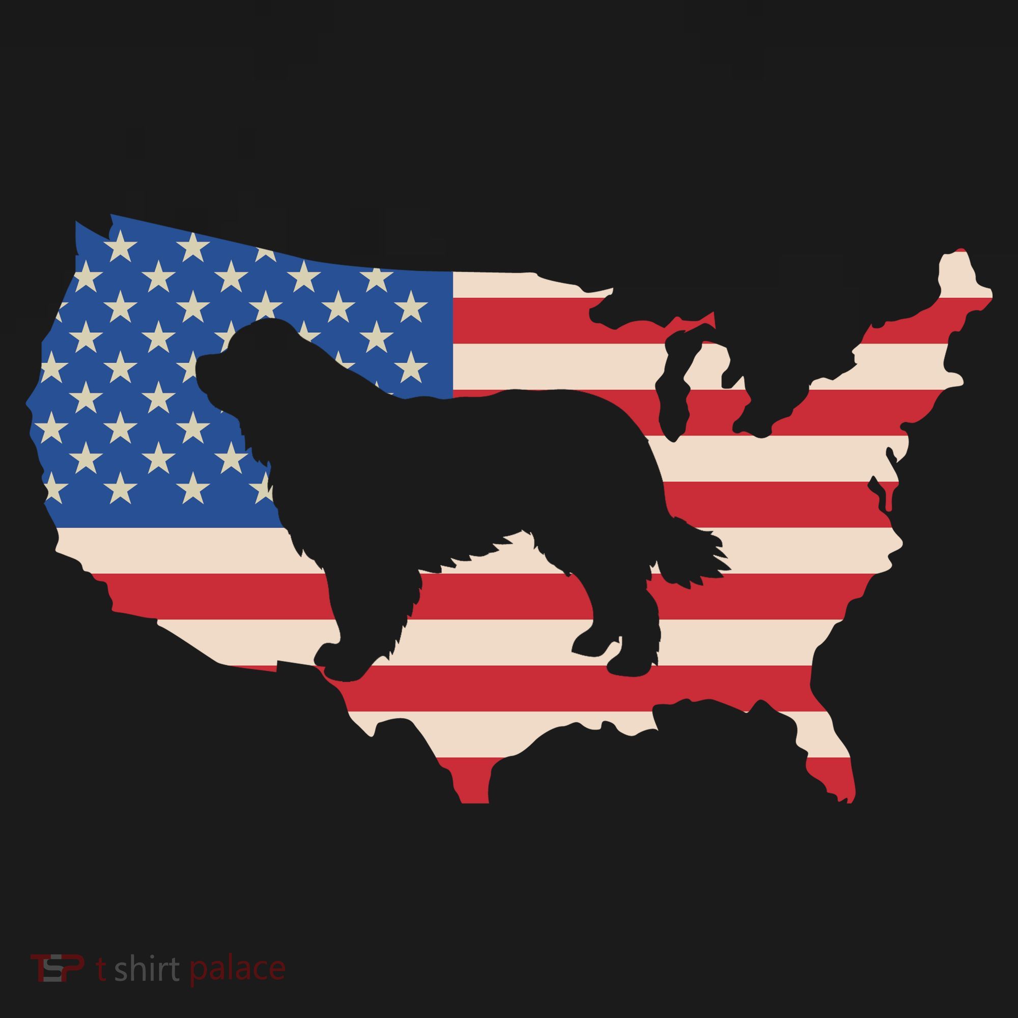 Newfie Dog America Flag Patriotic Dog Lover Gift Women's Hoodie