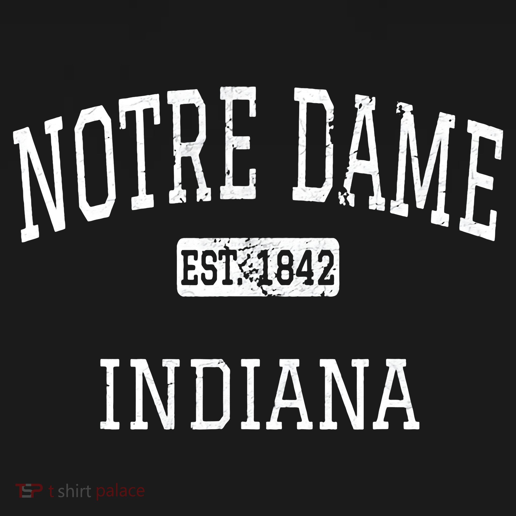 Notre Dame Indiana IN Vintage T-Shirt