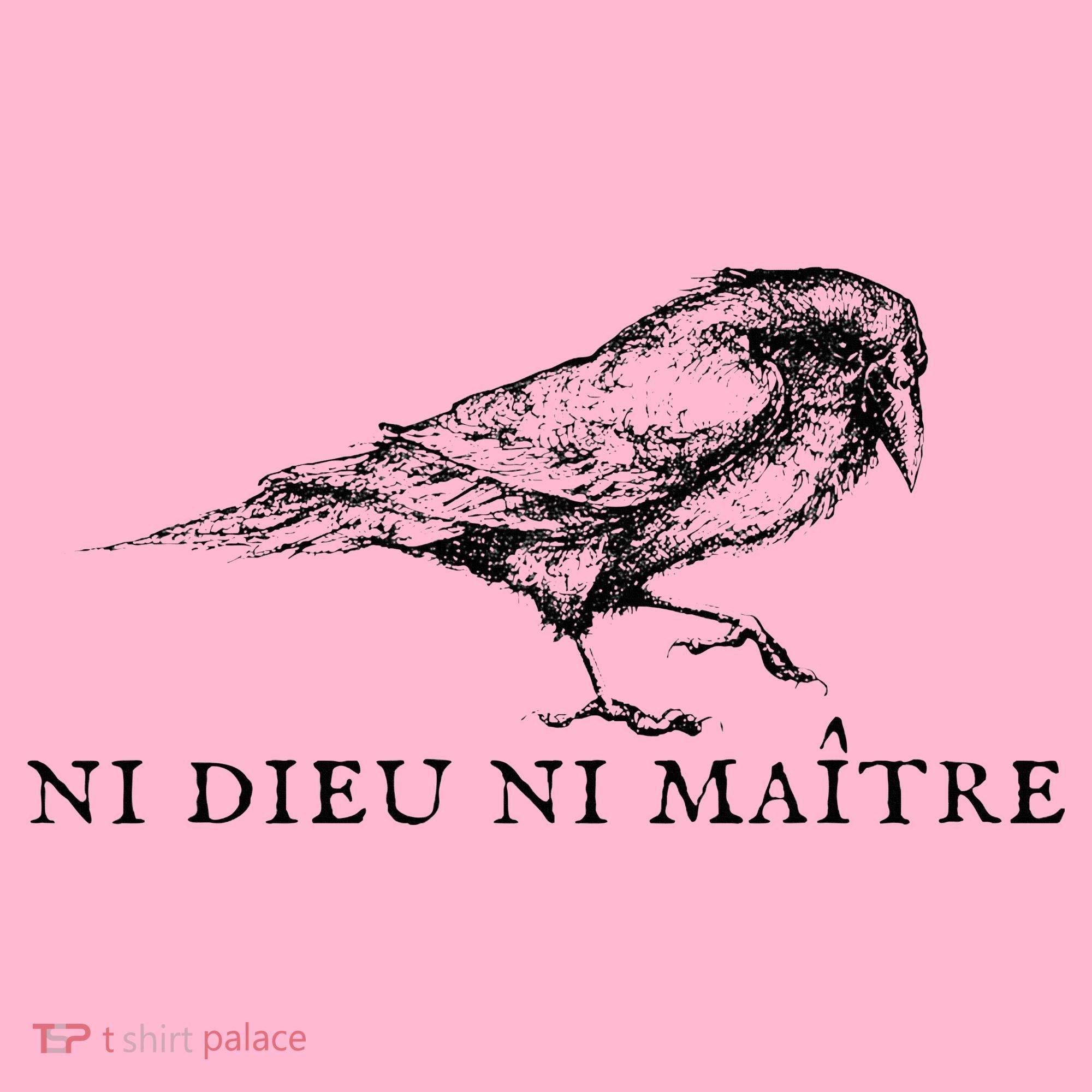 Ni Dieu Ni Maitre Coaster