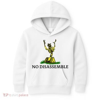 No Disassemble Kids Hoodie