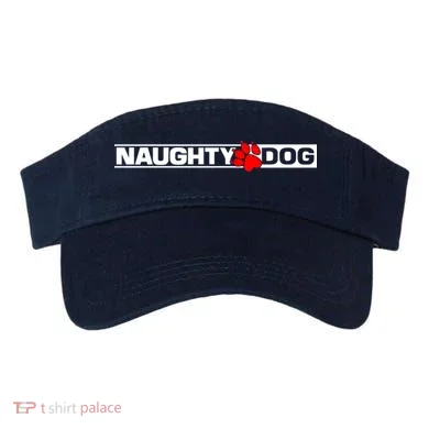 Visor