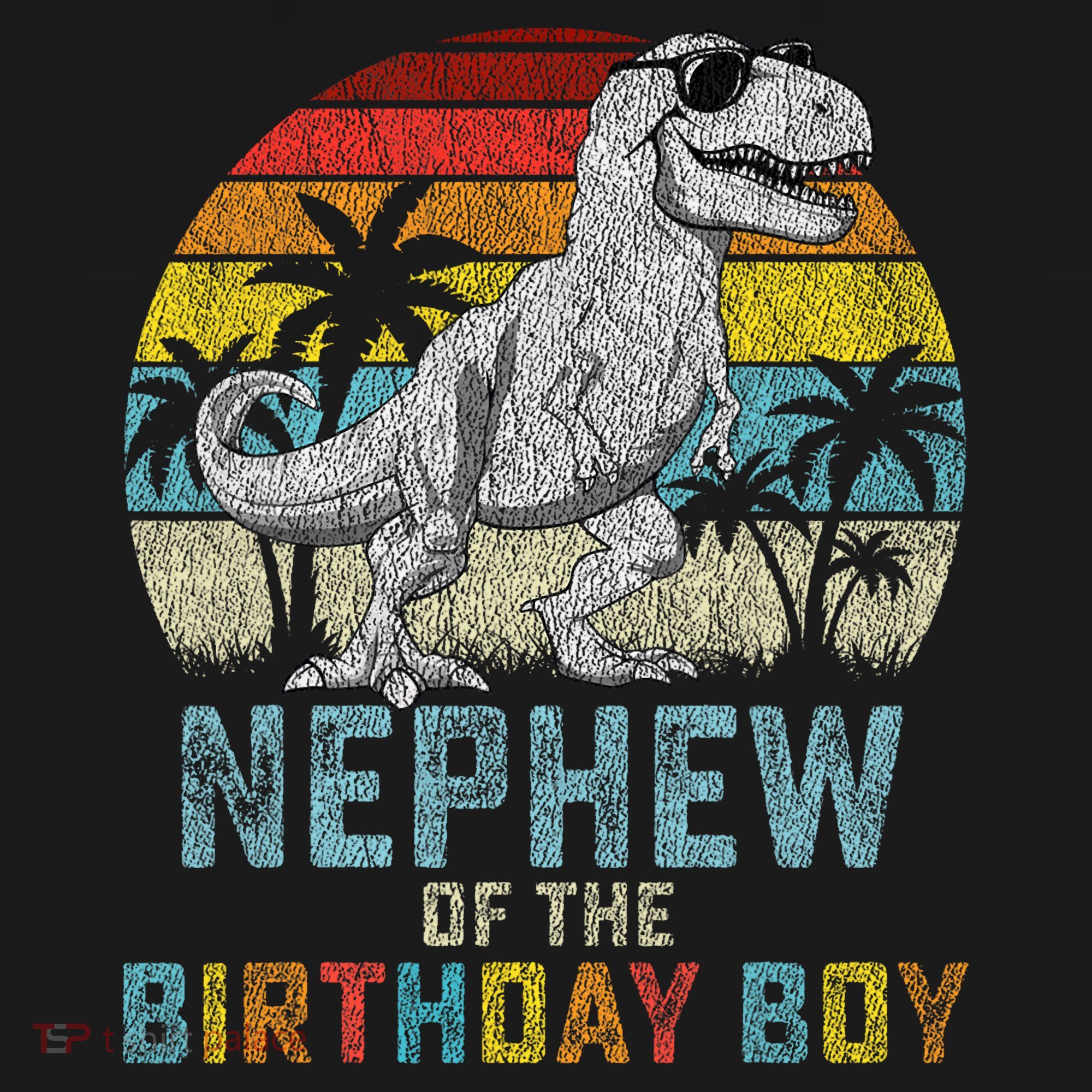 Nephew Dinosaur Of The Birthday Matching Family T-Shirt