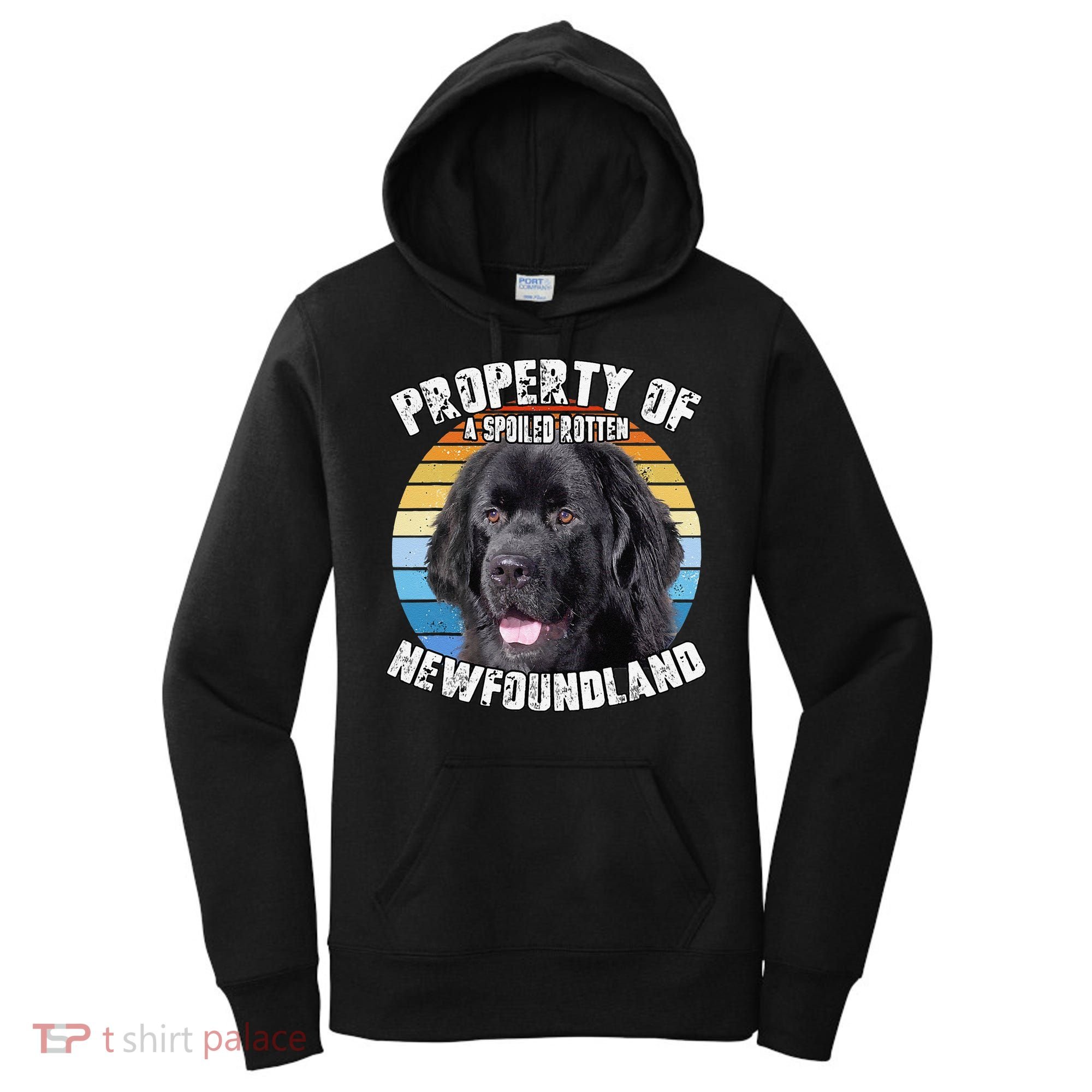 Newfoundland Dog Retro Property Of Cute Dog Women's Hoodie