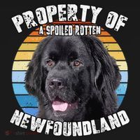 Newfoundland Dog Retro Property Of Cute Dog Women's Hoodie thumb 2