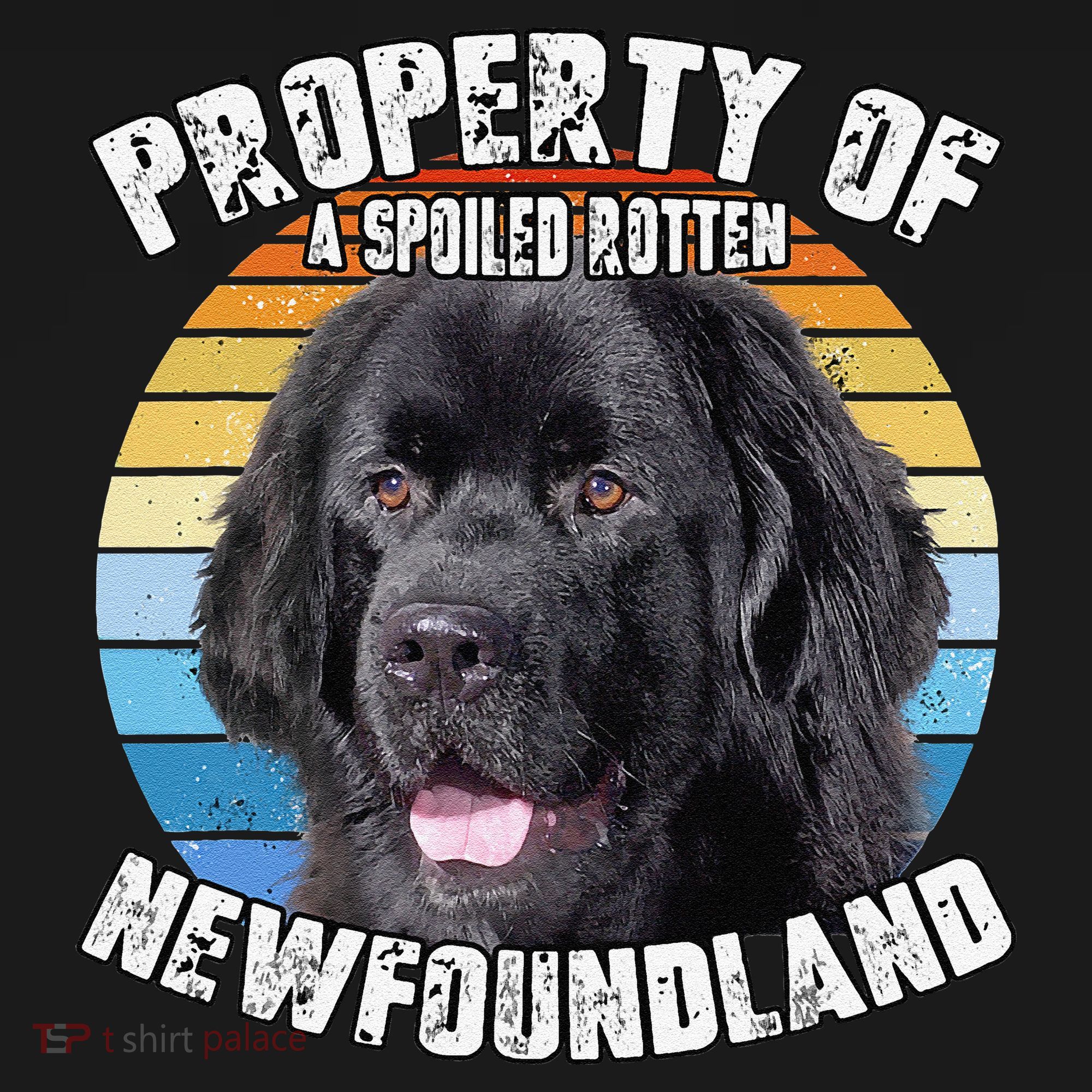 Newfoundland Dog Retro Property Of Cute Dog Women's Hoodie