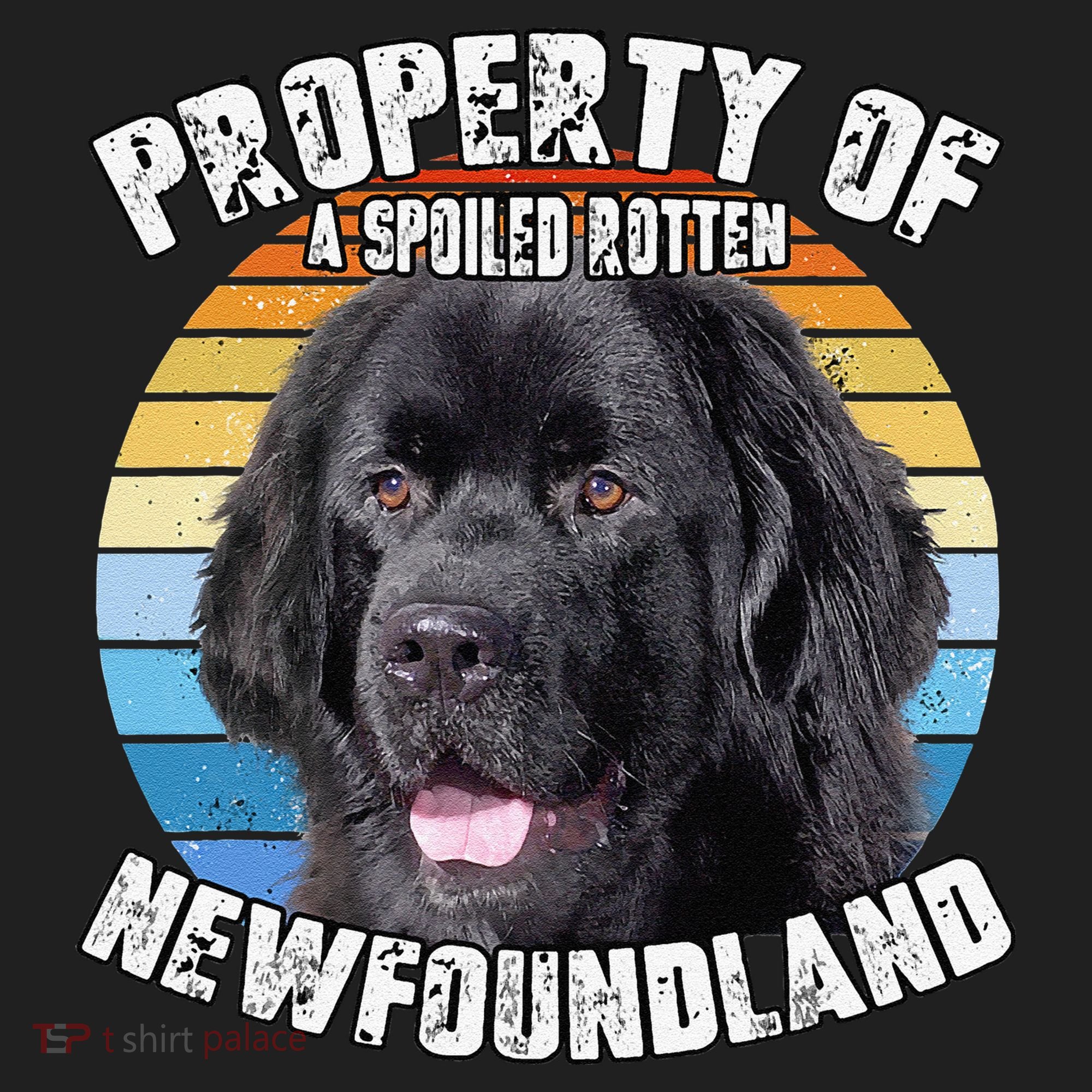 Newfoundland Dog Retro Property Of Cute Dog Hat