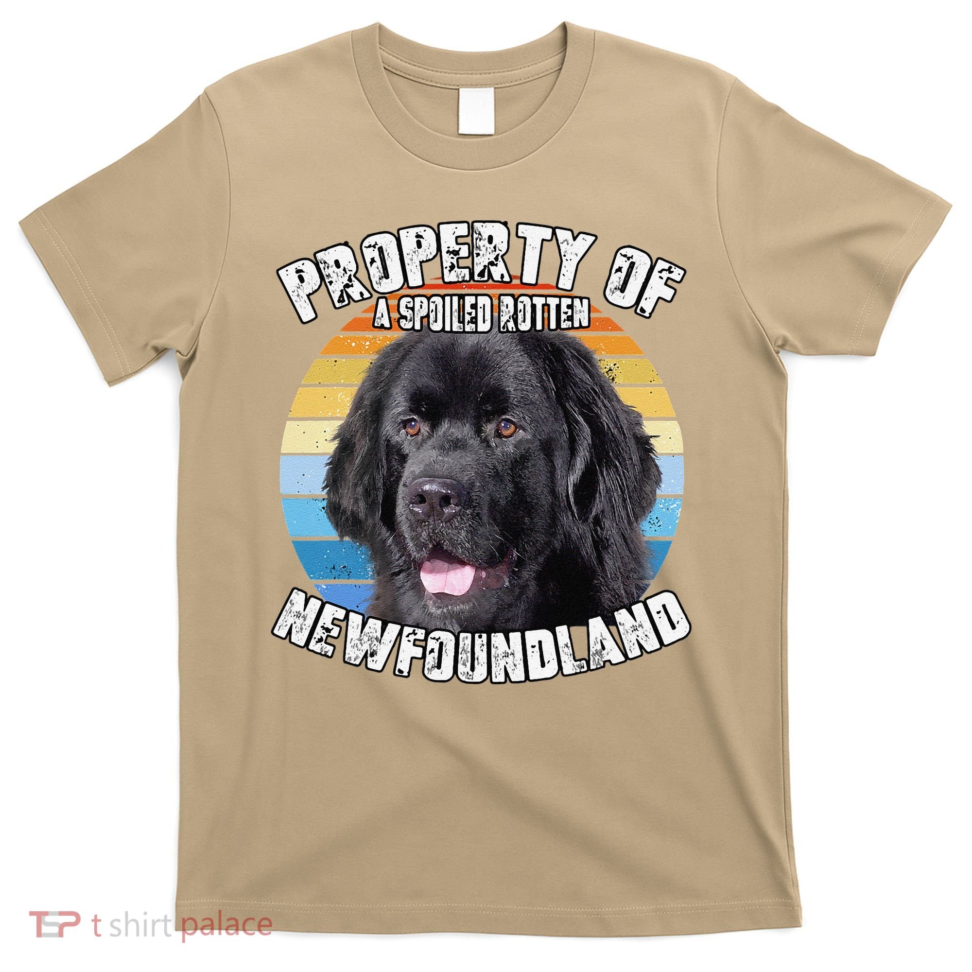 Newfoundland Dog Retro Property Of Cute Dog T-Shirt