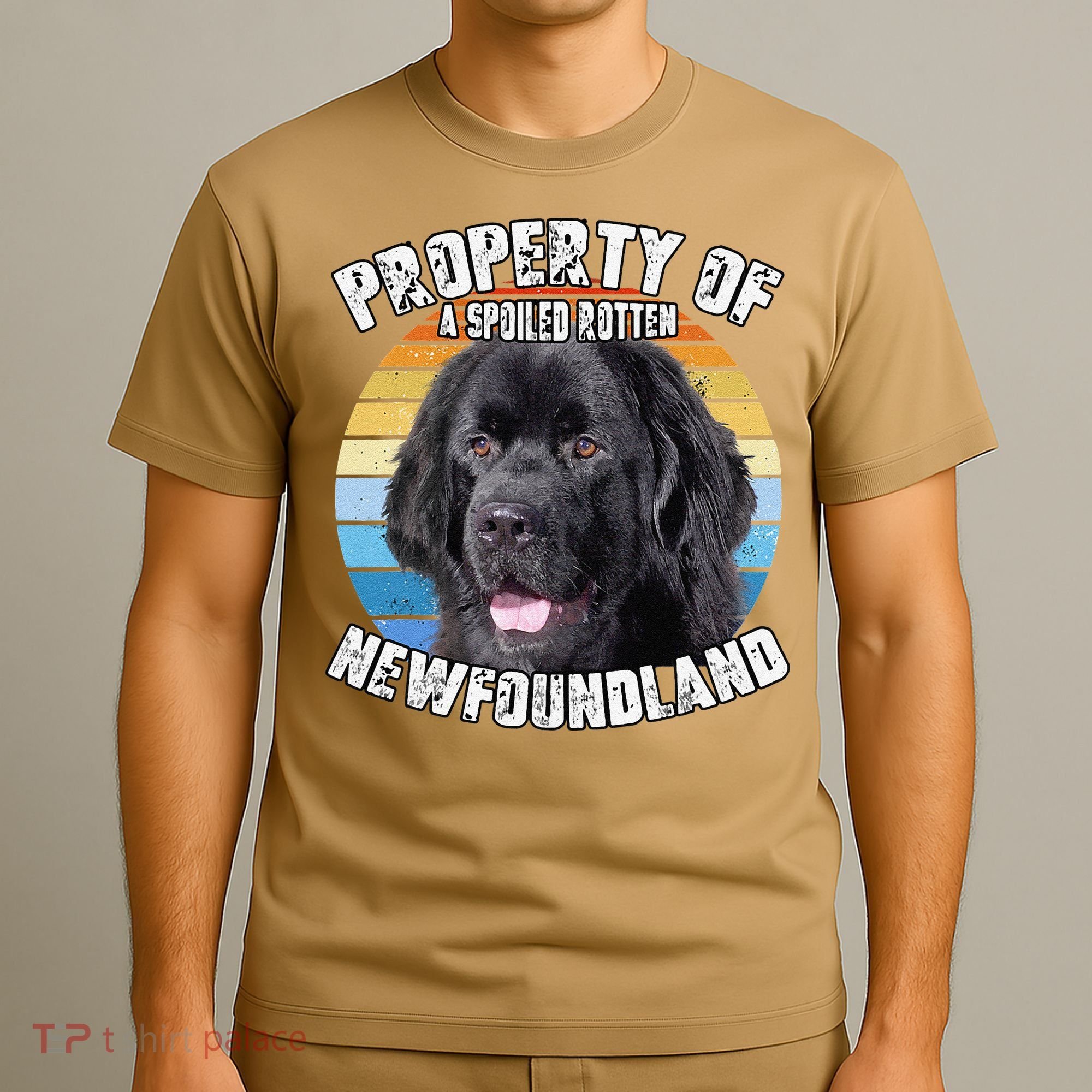 Newfoundland Dog Retro Property Of Cute Dog T-Shirt