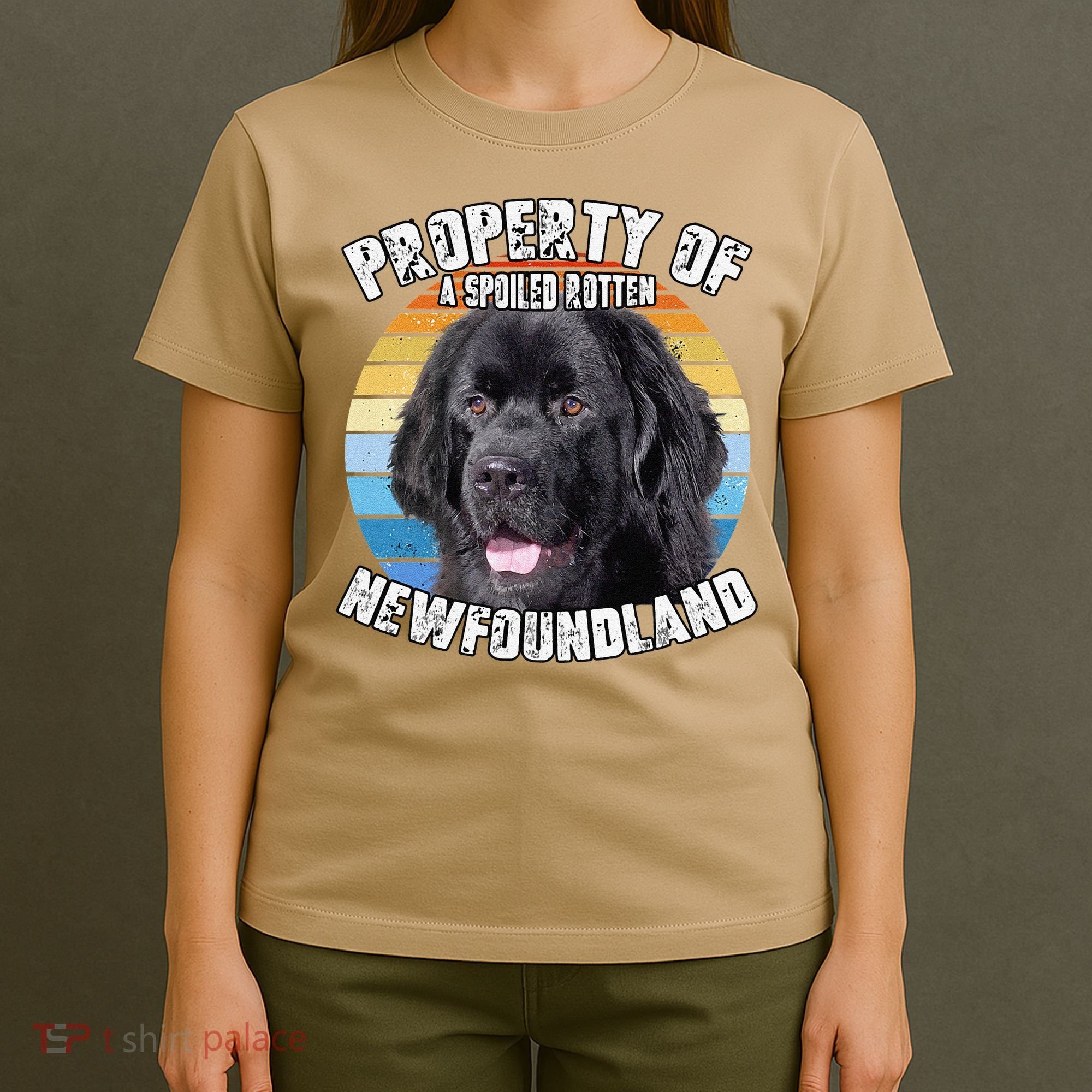 Newfoundland Dog Retro Property Of Cute Dog T-Shirt