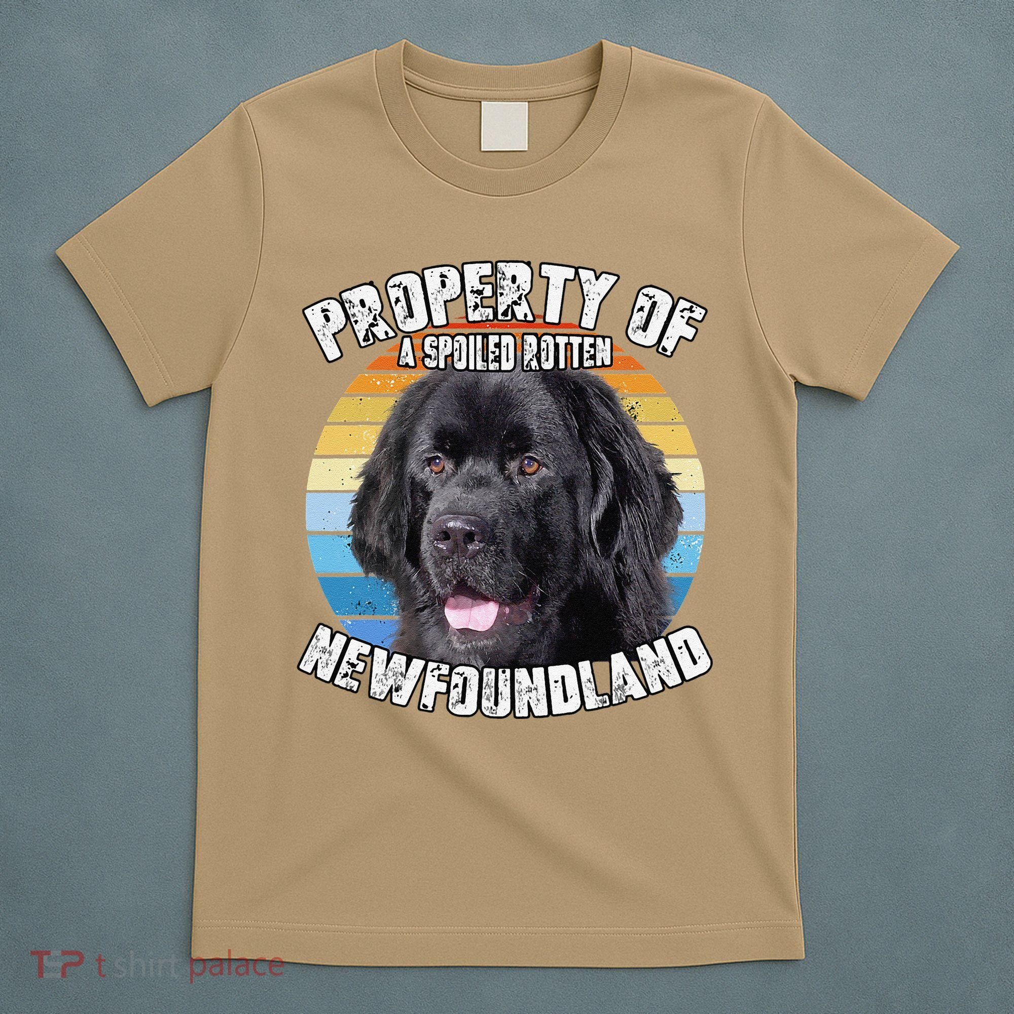 Newfoundland Dog Retro Property Of Cute Dog T-Shirt