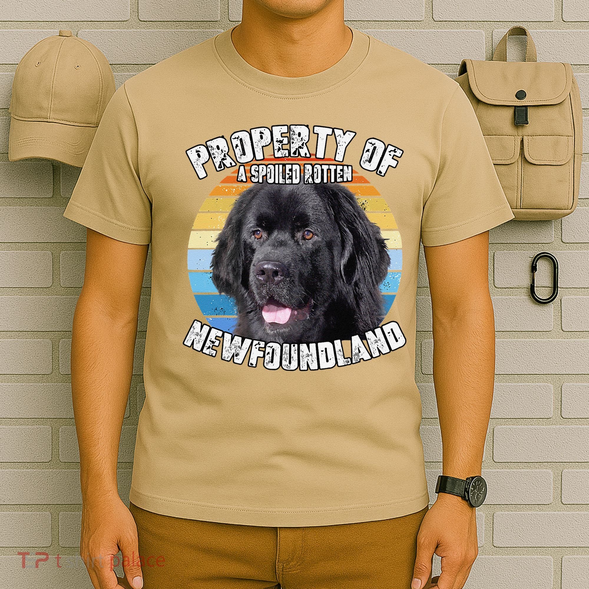 Newfoundland Dog Retro Property Of Cute Dog T-Shirt
