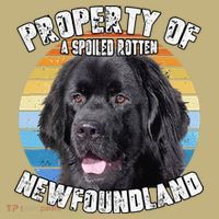 Newfoundland Dog Retro Property Of Cute Dog T-Shirt thumb 7