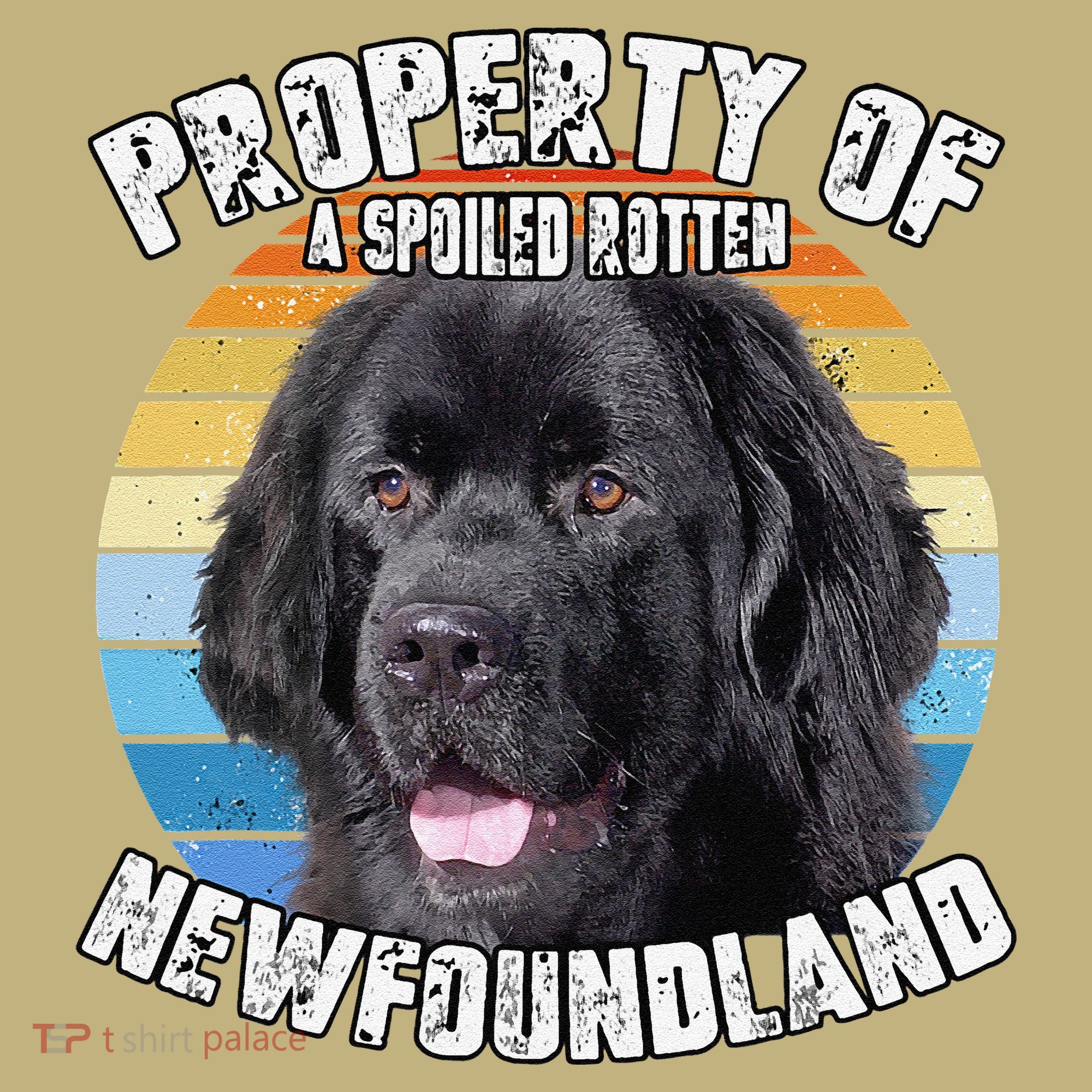 Newfoundland Dog Retro Property Of Cute Dog T-Shirt