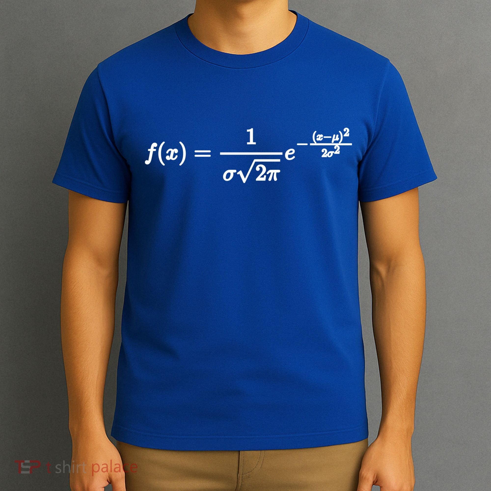 Normal Distribution Statistics Probablity Data Analyst Joke Meaningful Gift T-Shirt