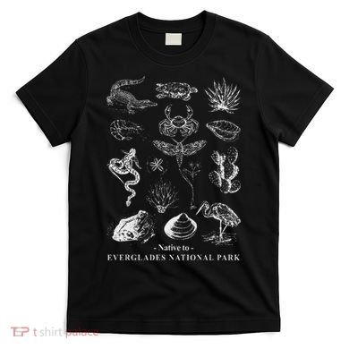 Nature Exploring Arizona Petrified Forest National Park T-Shirt