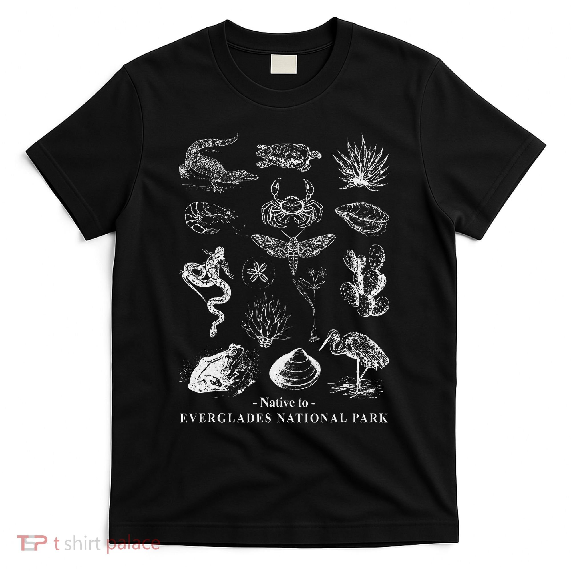 Nature Exploring Arizona Petrified Forest National Park T-Shirt