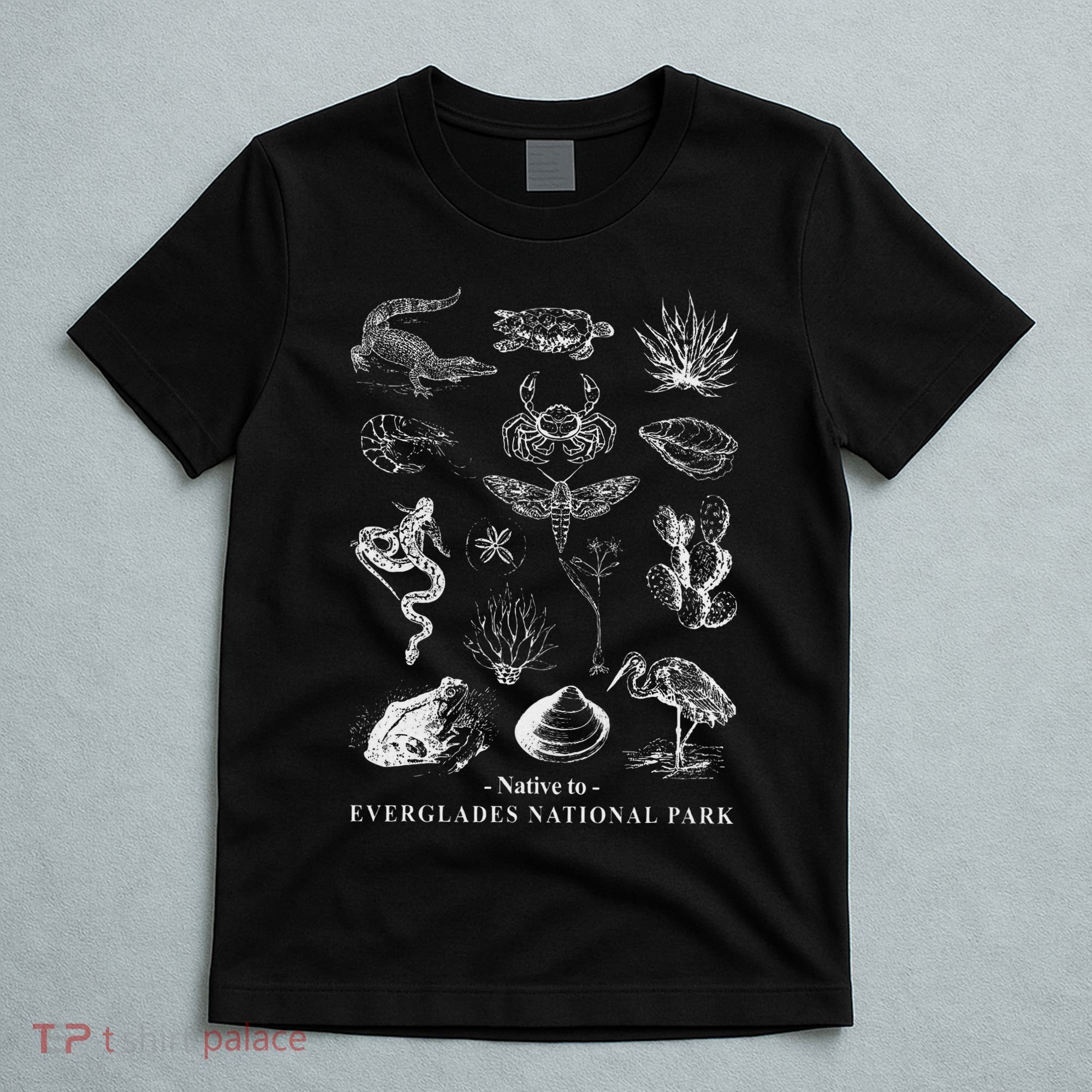 Nature Exploring Arizona Petrified Forest National Park T-Shirt