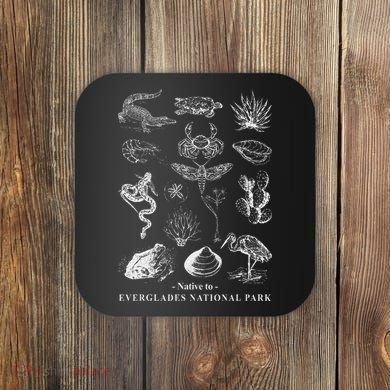 Nature Exploring Arizona Petrified Forest National Park Coaster