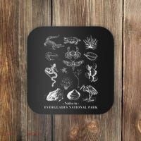 Nature Exploring Arizona Petrified Forest National Park Coaster thumb 0