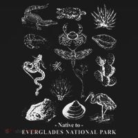 Nature Exploring Arizona Petrified Forest National Park Ornament thumb 1