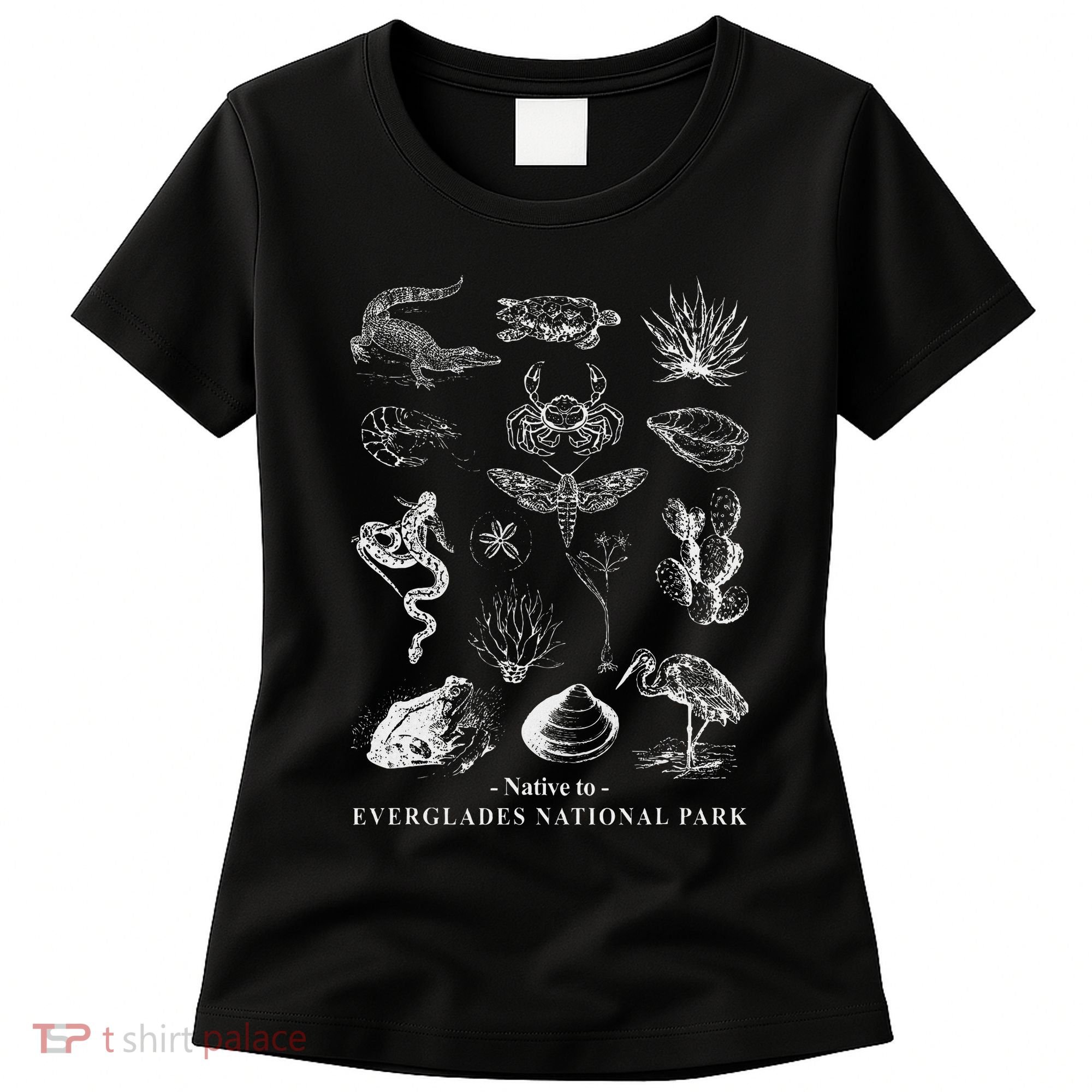 Nature Exploring Arizona Petrified Forest National Park Women's T-Shirt