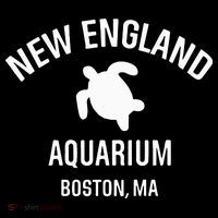 New England Aquarium Boston Ma Stripe Pom Pom Beanie thumb 2