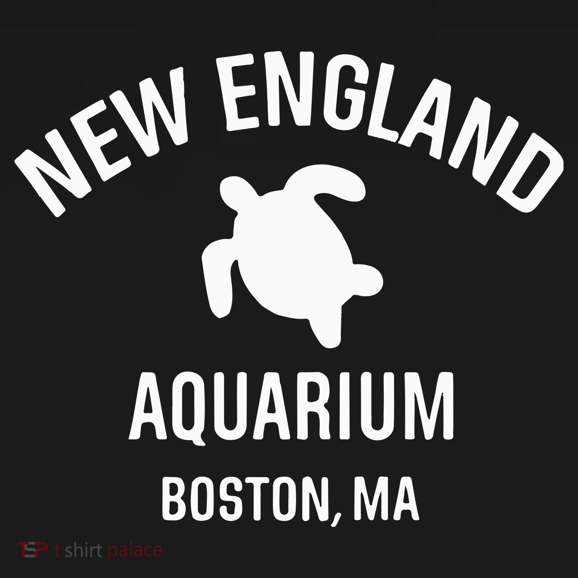 New England Aquarium Boston Ma Women's Tank Top