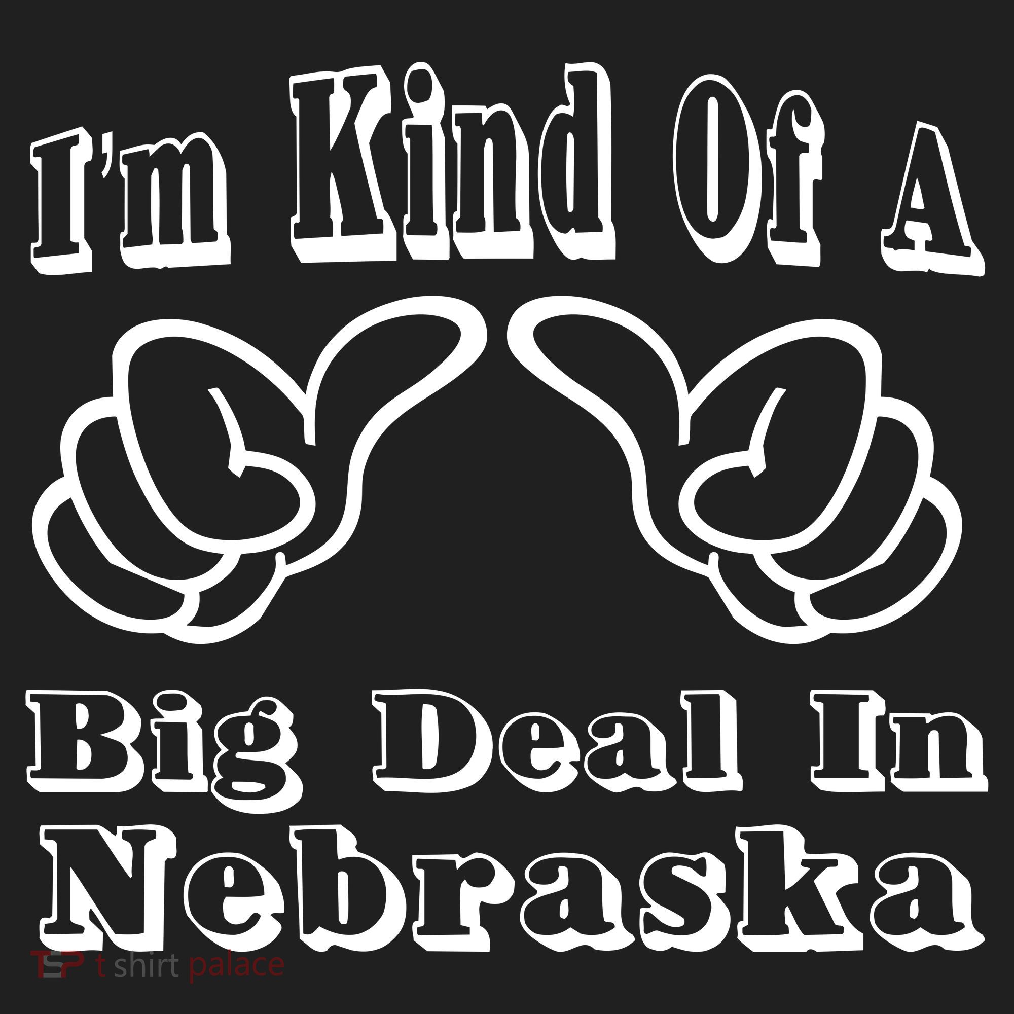 Nebraska Big Deal Hat