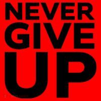 Never Ever Give Up Inspirational Motivational Quotes Saying Santa Hat thumb 1