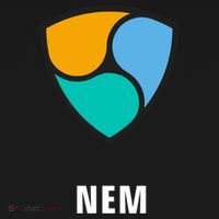 Nem Classic Ornament thumb 1