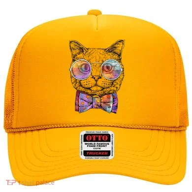Nerd Cat With Glasses and Bow Tie Hat