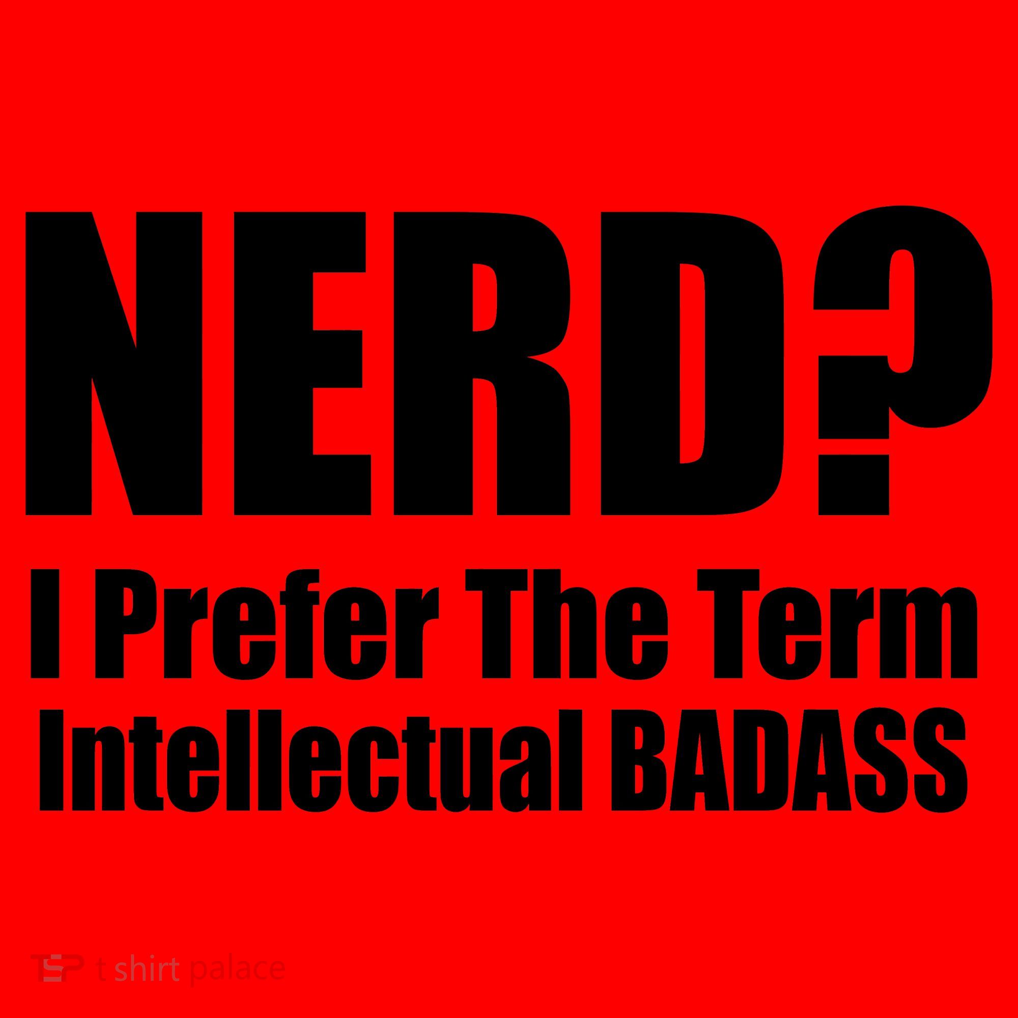 Nerd? I Prefer Intellectual Bad ass Santa Hat