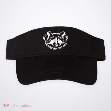 Visor