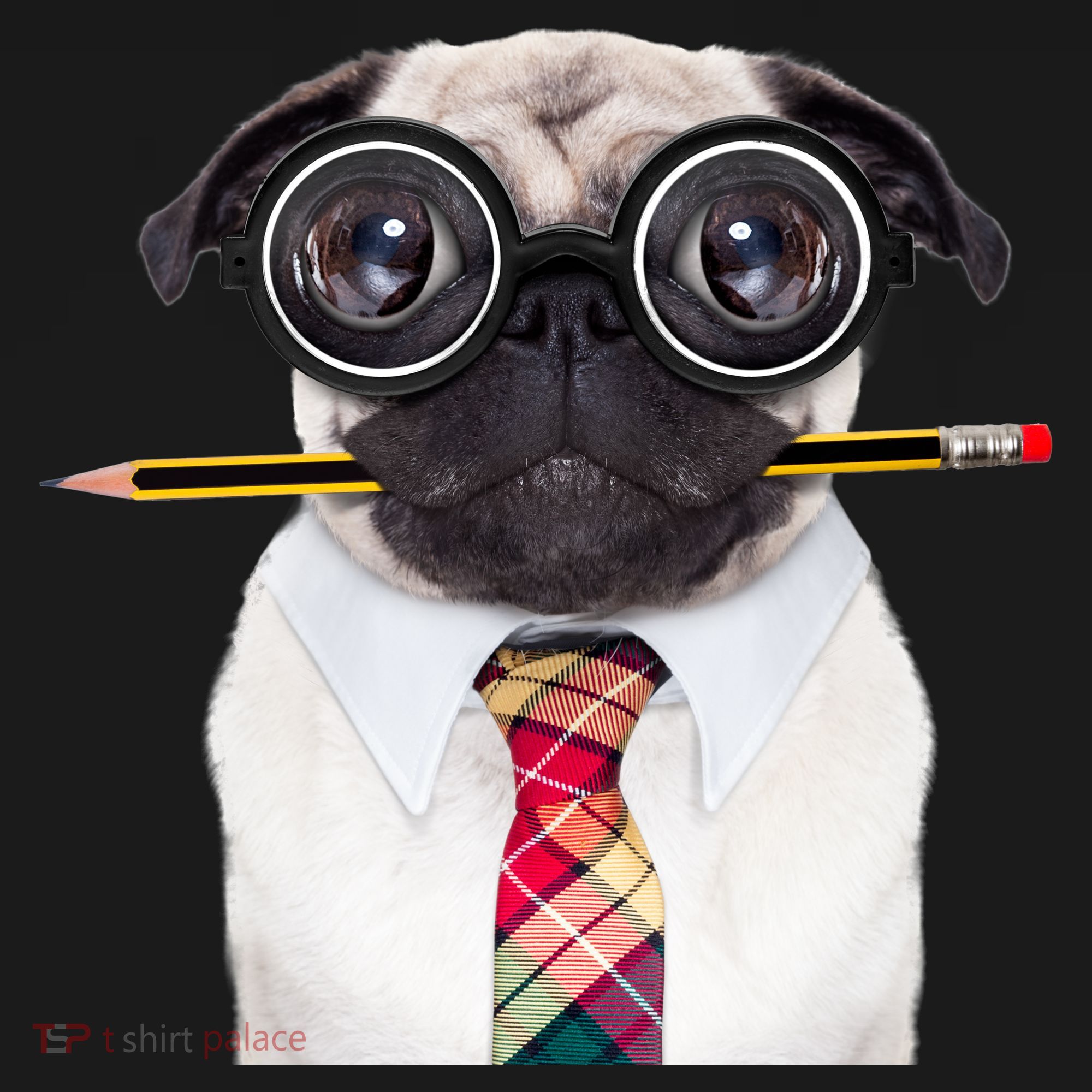 Nerdy Pug Dog With Glasses Button