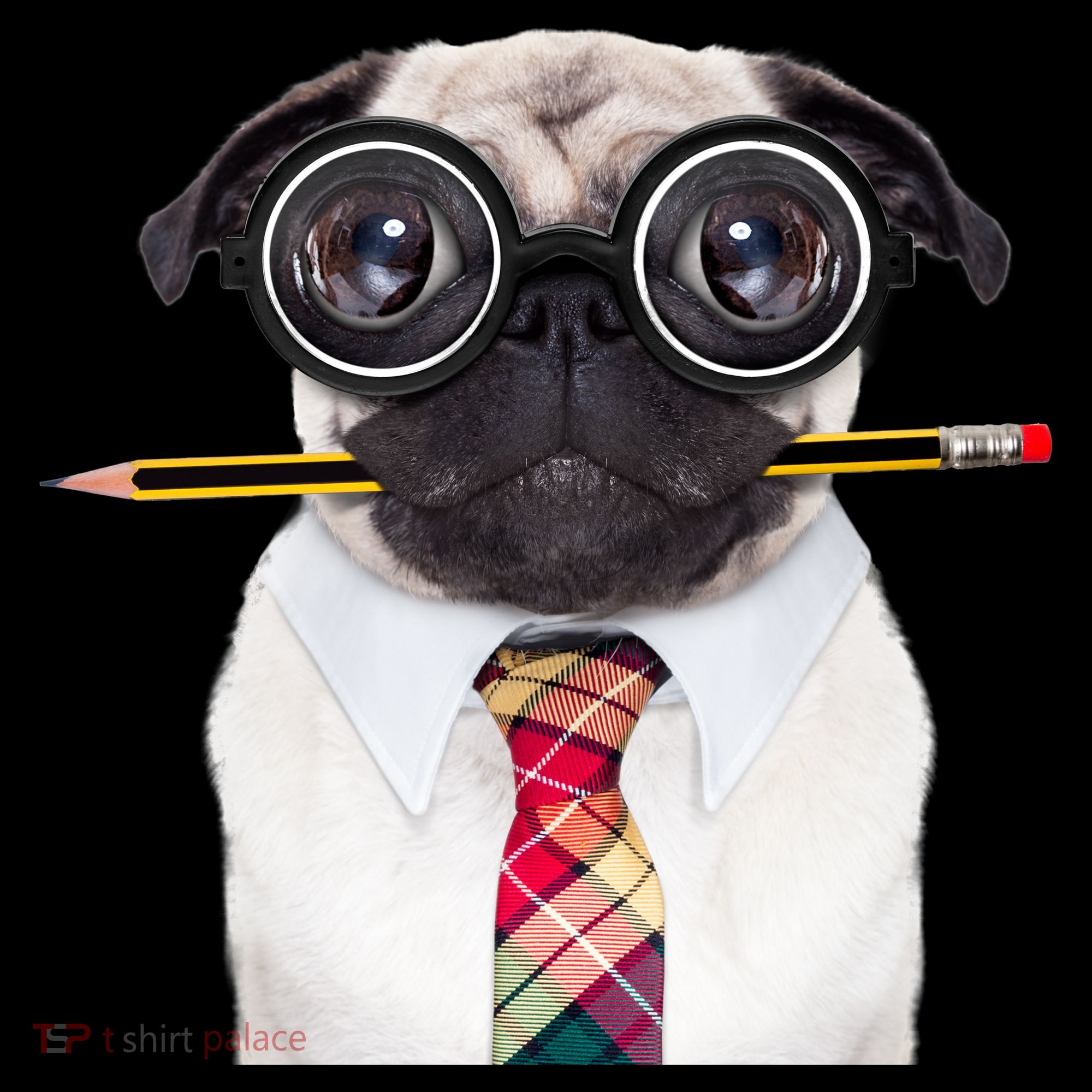 Nerdy Pug Dog With Glasses Coaster
