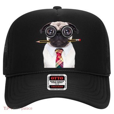 Nerdy Pug Dog With Glasses Hat