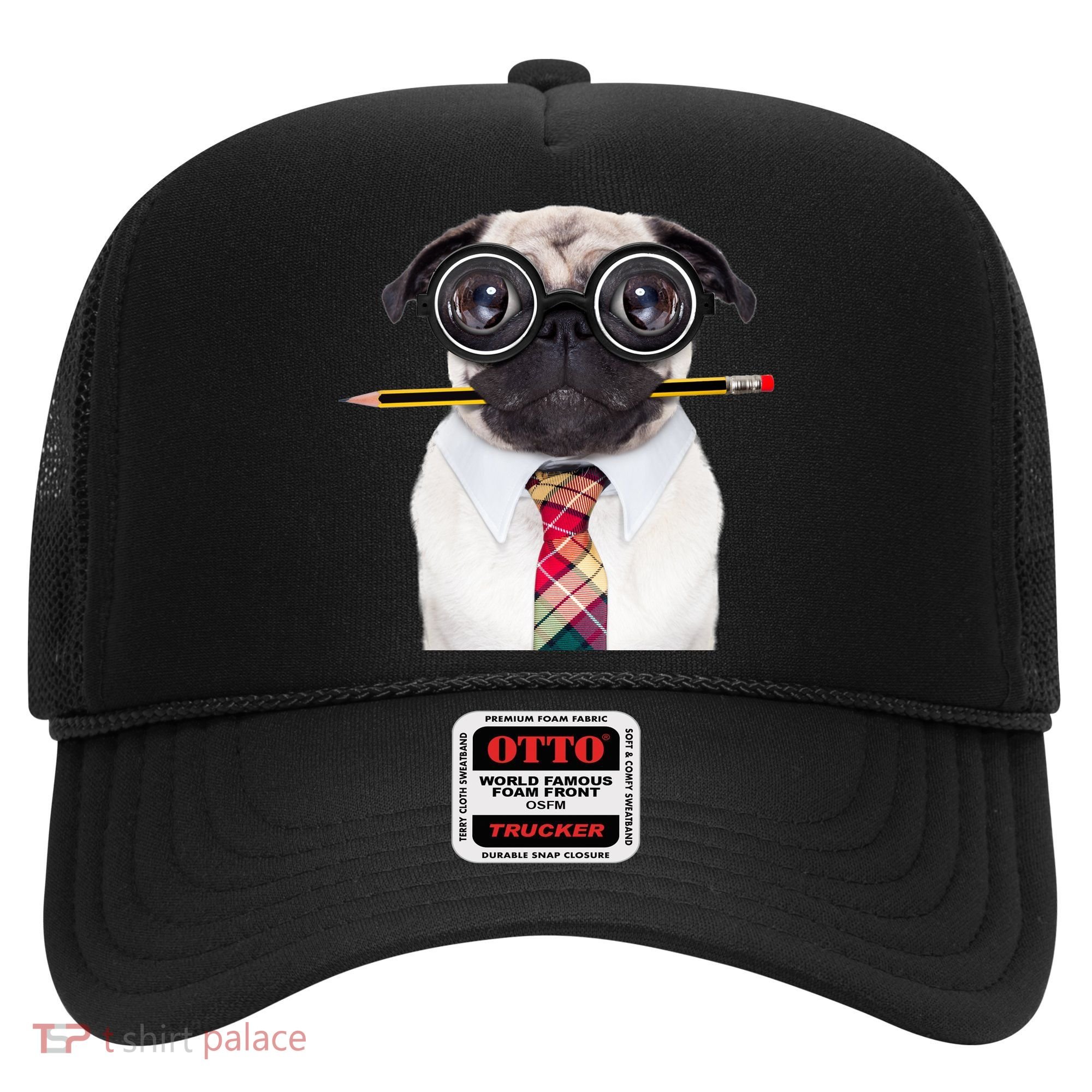Nerdy Pug Dog With Glasses Hat
