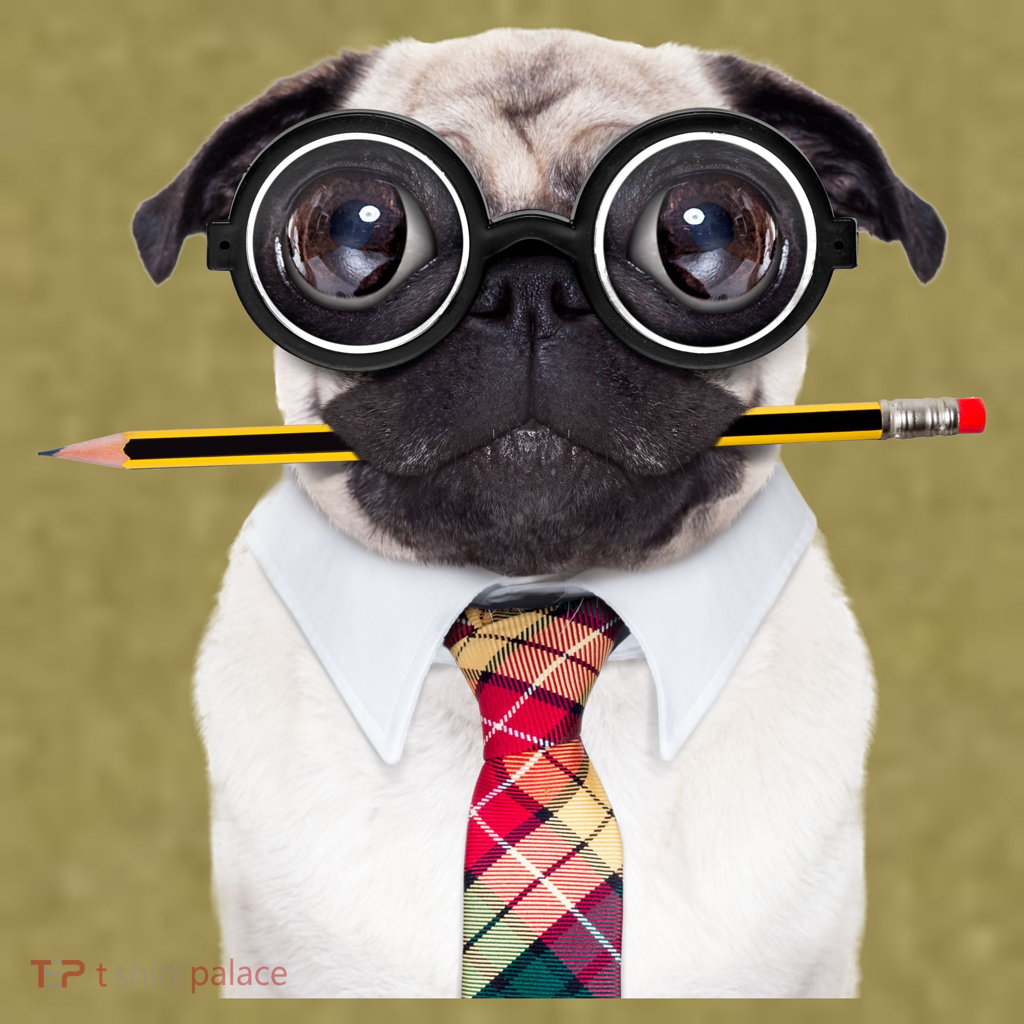 Nerdy Pug Dog With Glasses Garment-Dyed Women's Muscle Tee